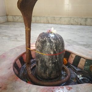 Meet your Posher, Putnam